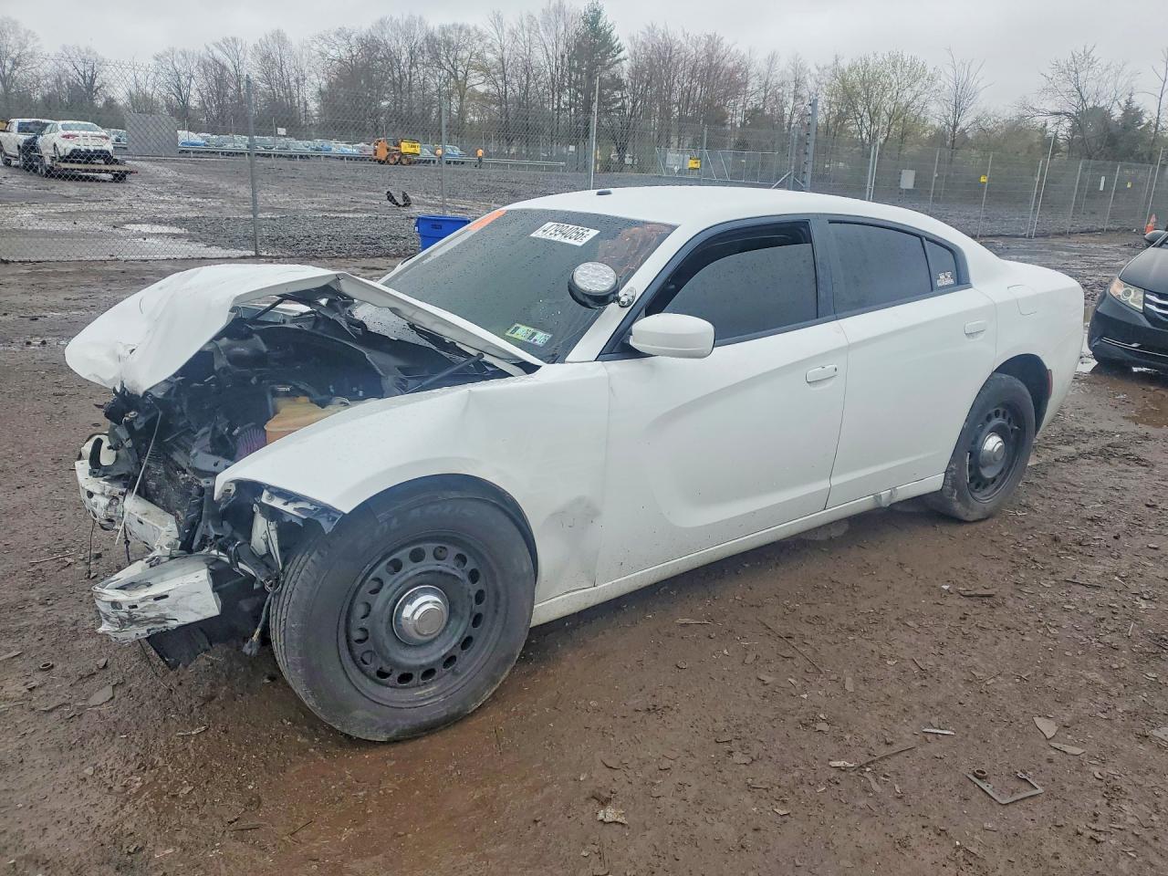Salvage Dodge Charger Image