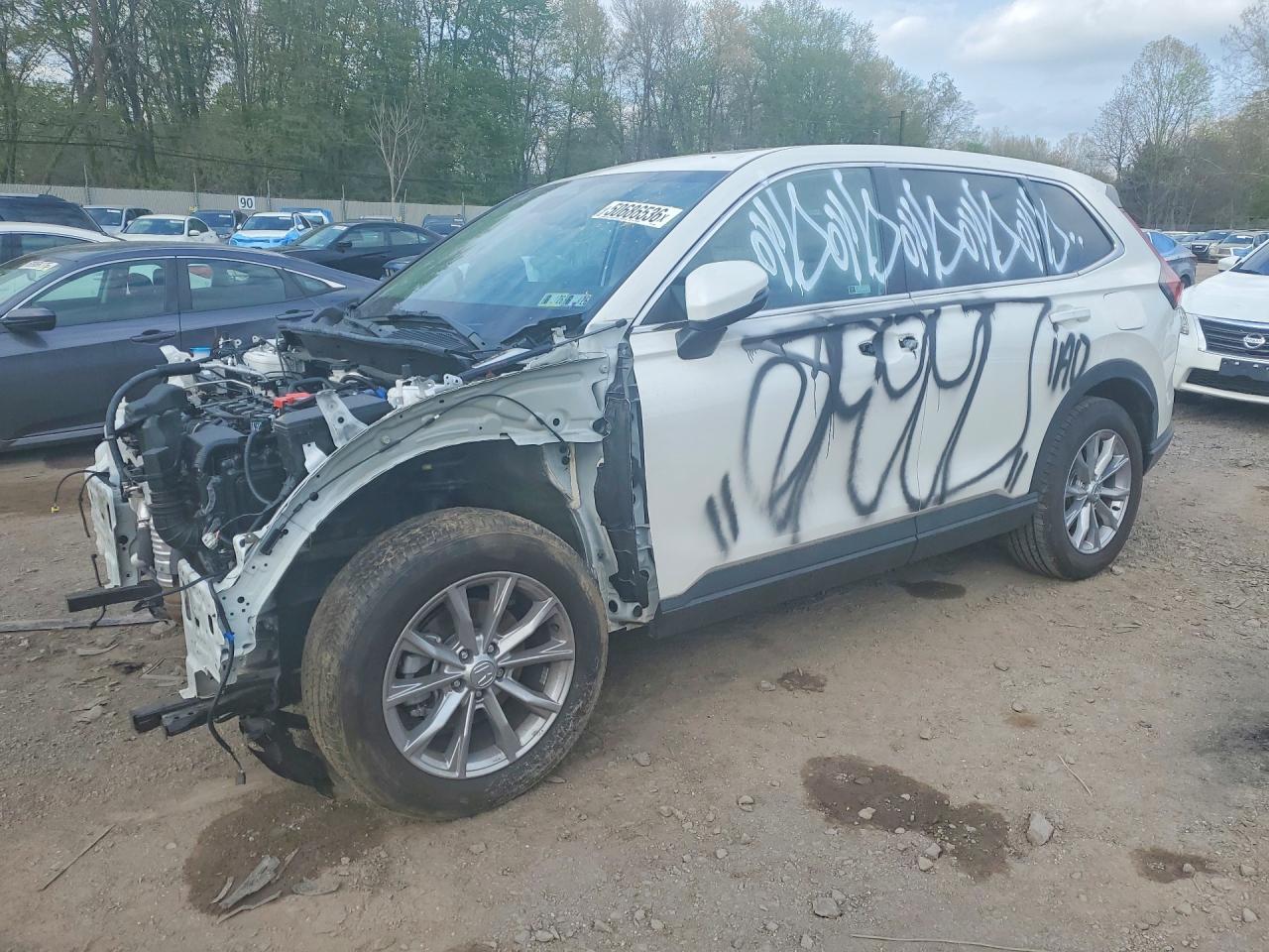 Salvage Honda Crv Image