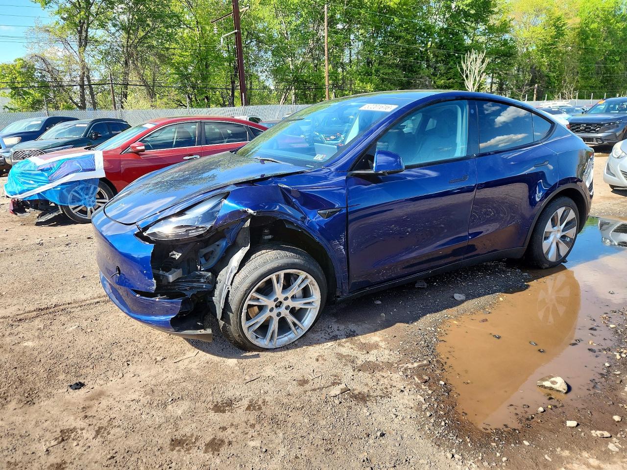 Salvage Tesla Model Y Image