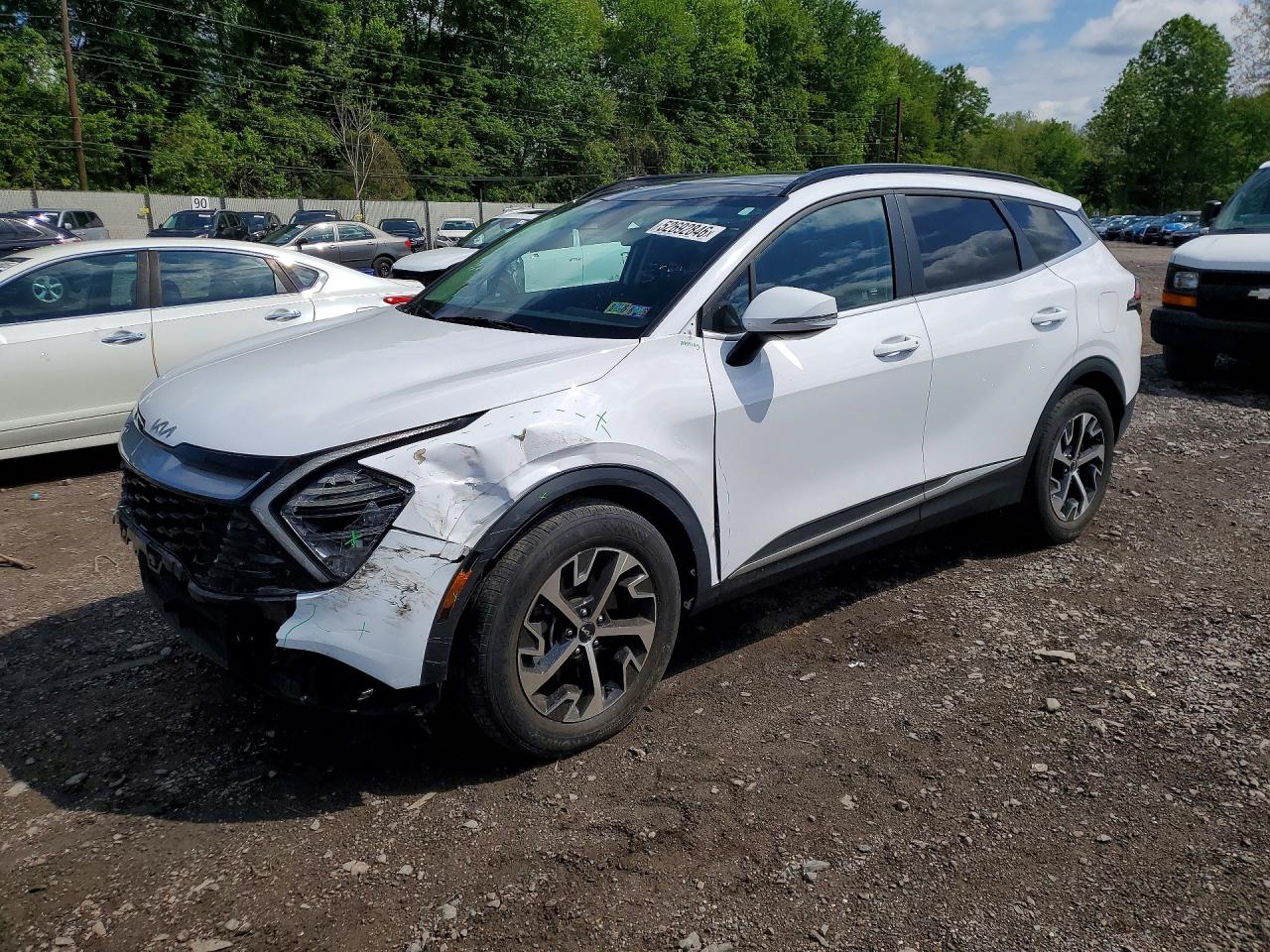 Salvage Kia Sportage Image