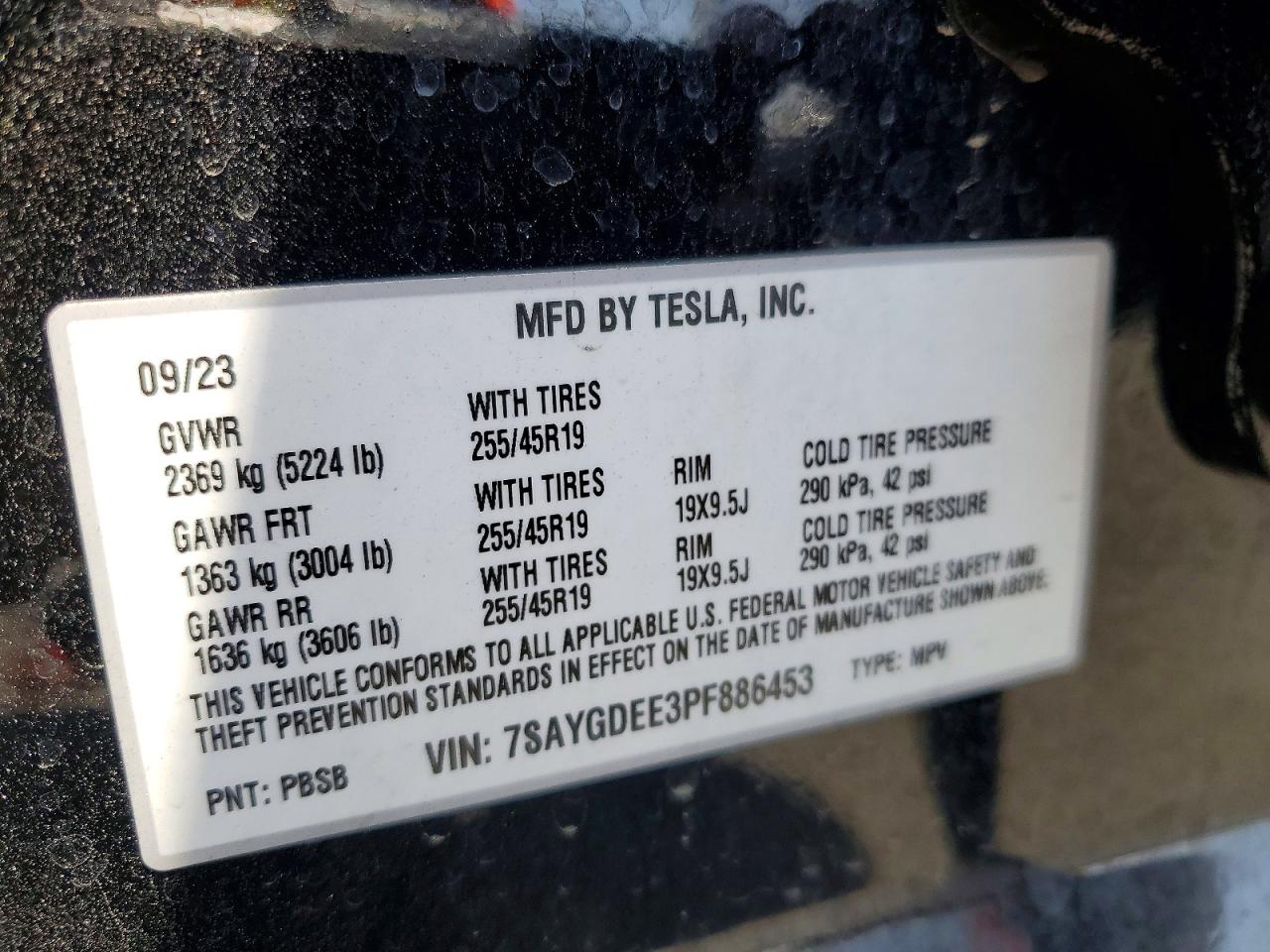 Tesla Model Y
