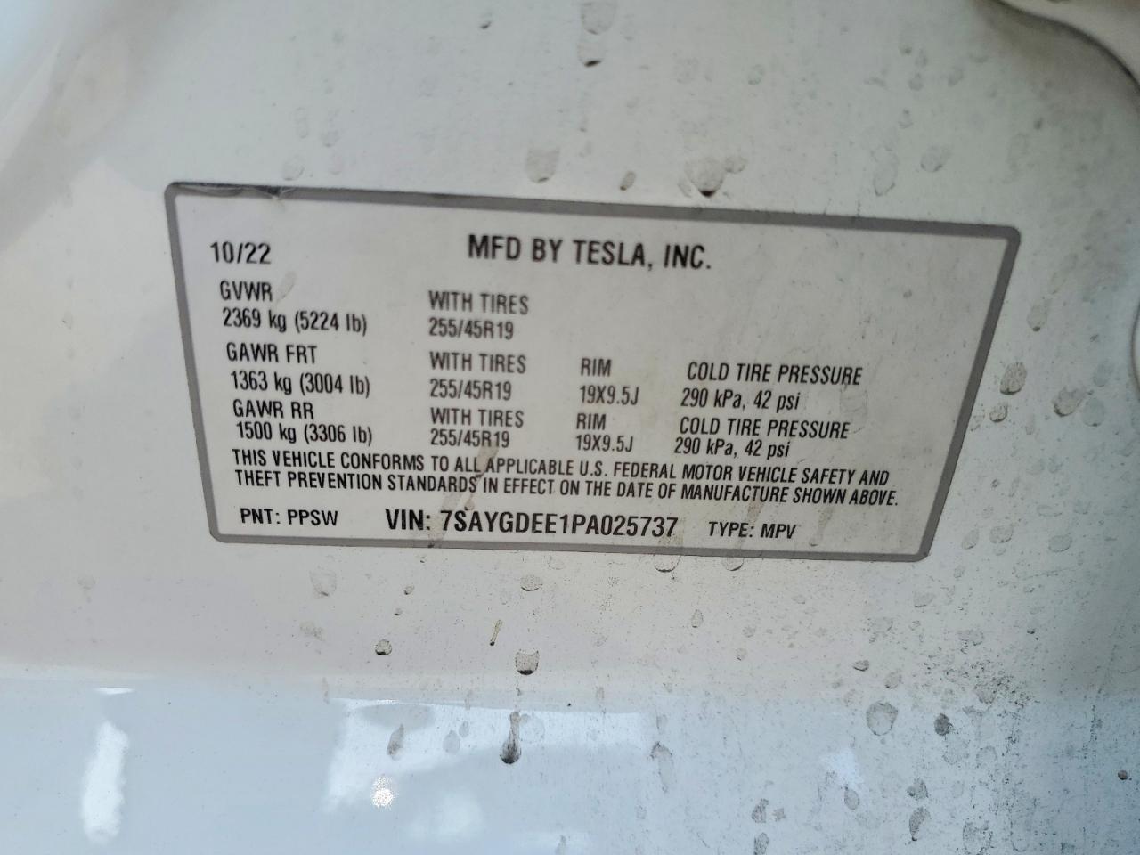 Tesla Model Y