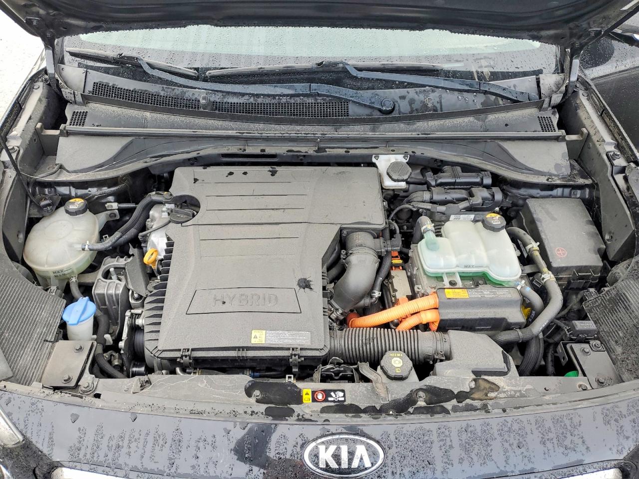 Kia Niro Ex