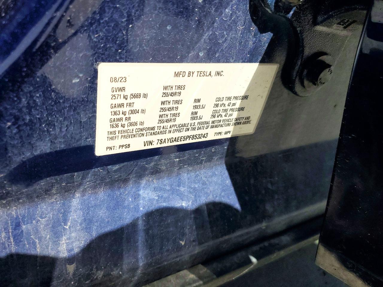 Tesla Model Y