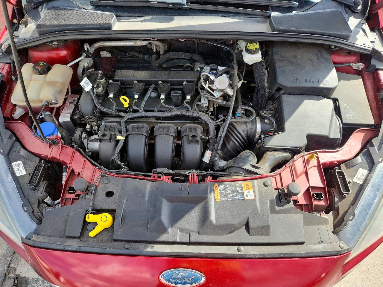 Ford Focus Sel