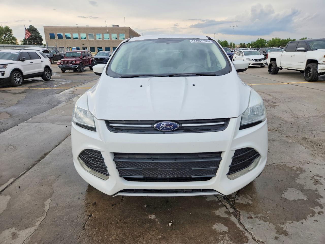 Ford Escape Se