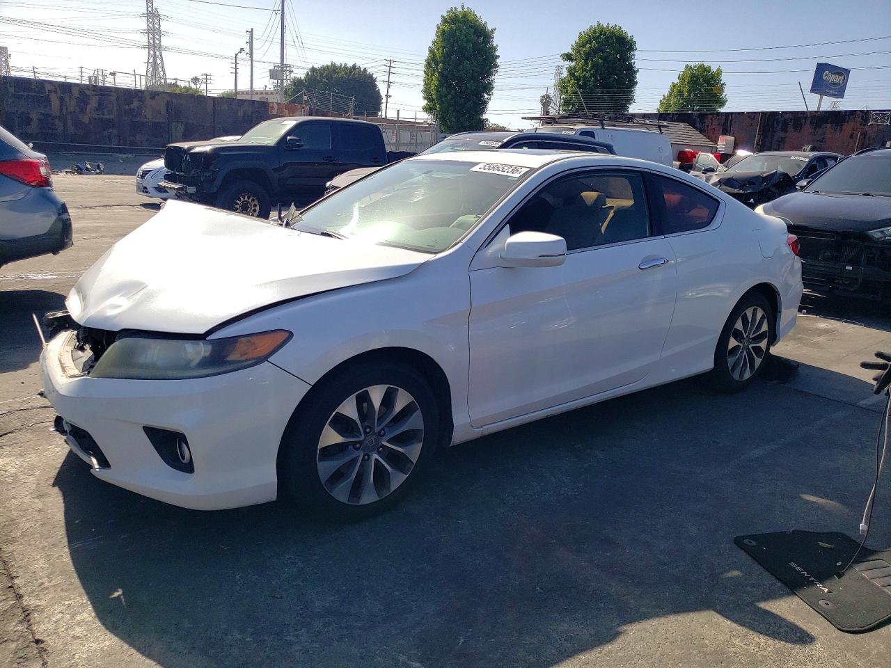 Salvage Honda Accord Image