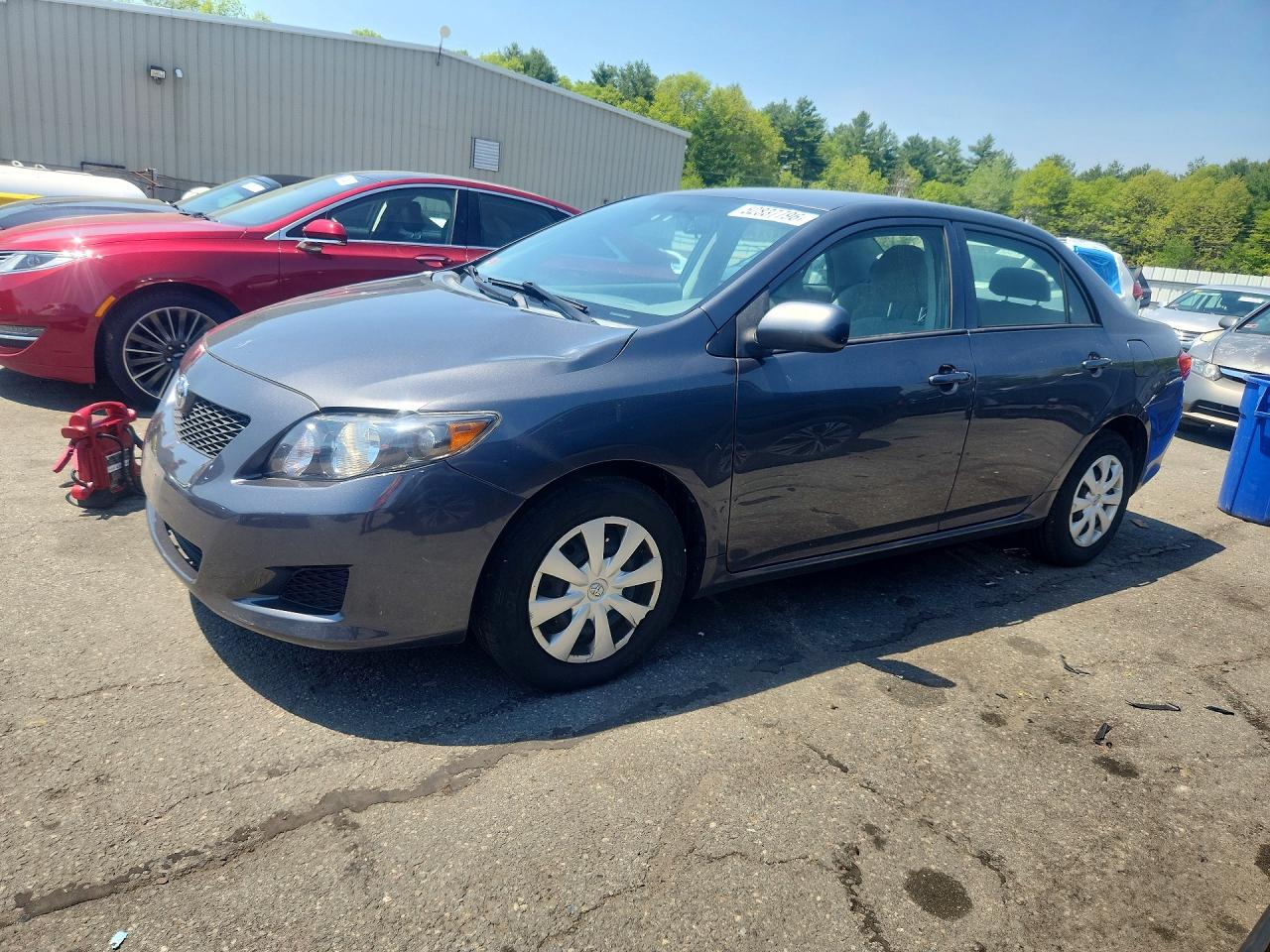 Salvage Toyota Corolla Image