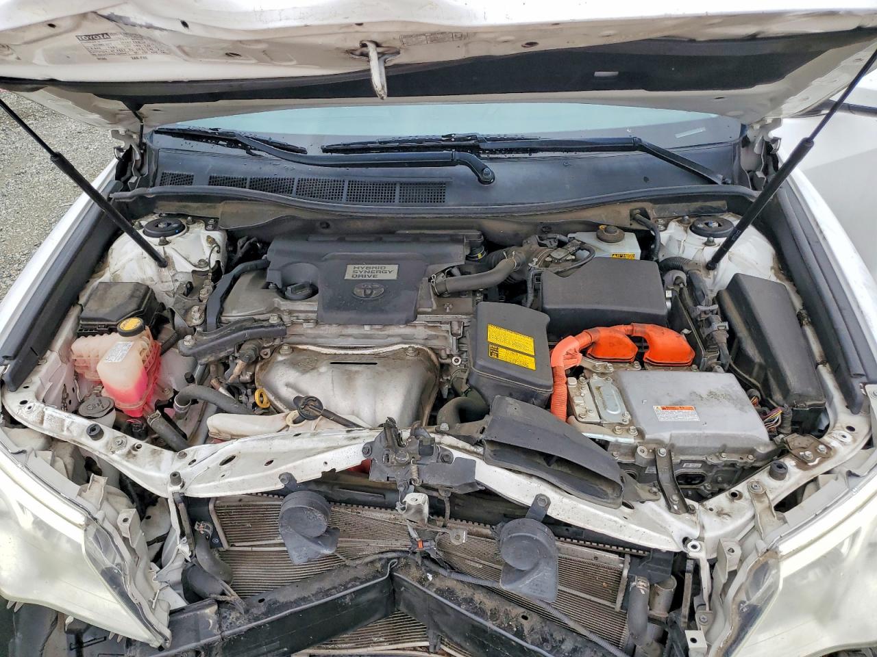 Toyota Camry Xle