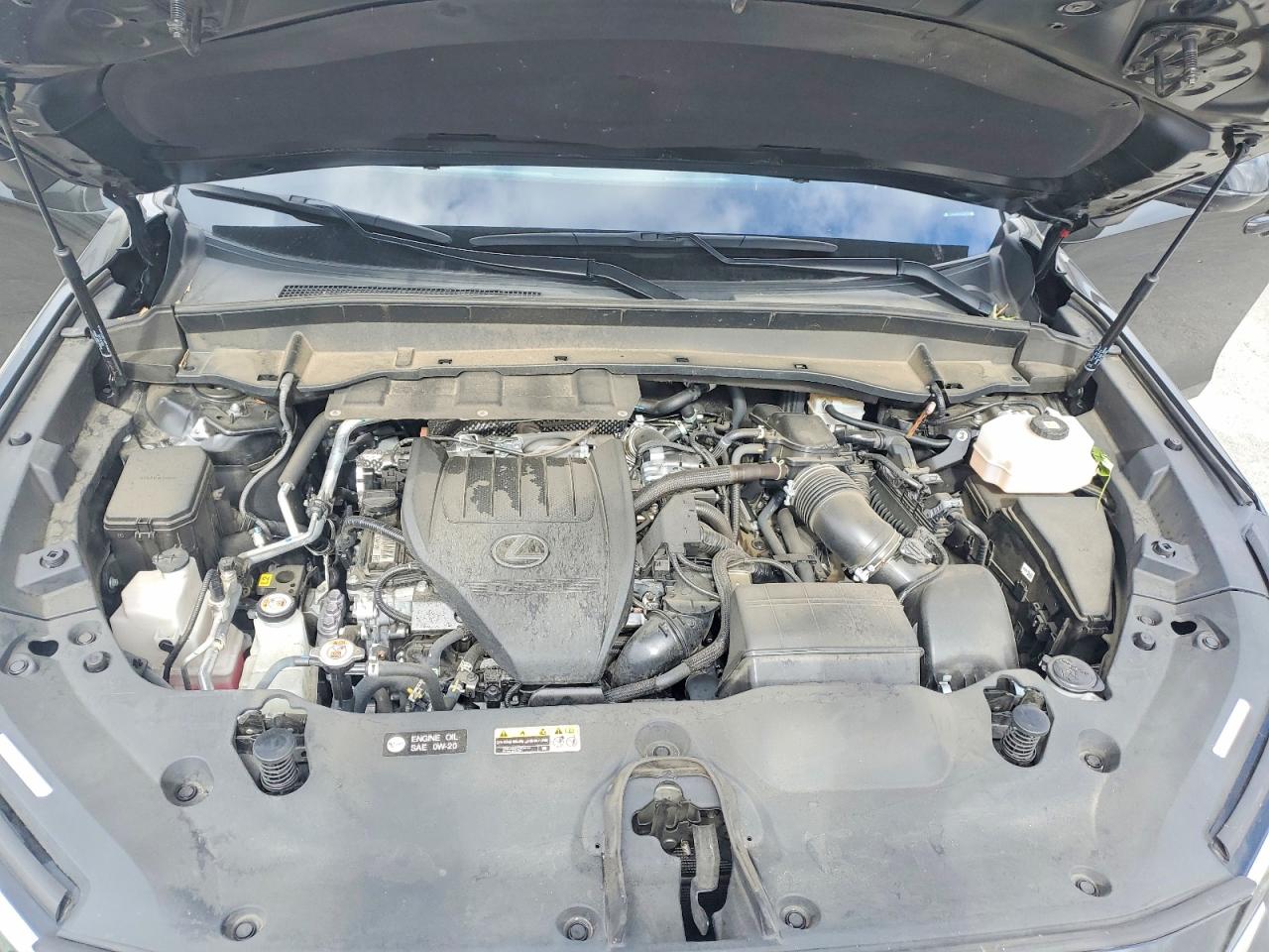 Lexus Other F Sport Performance Premium