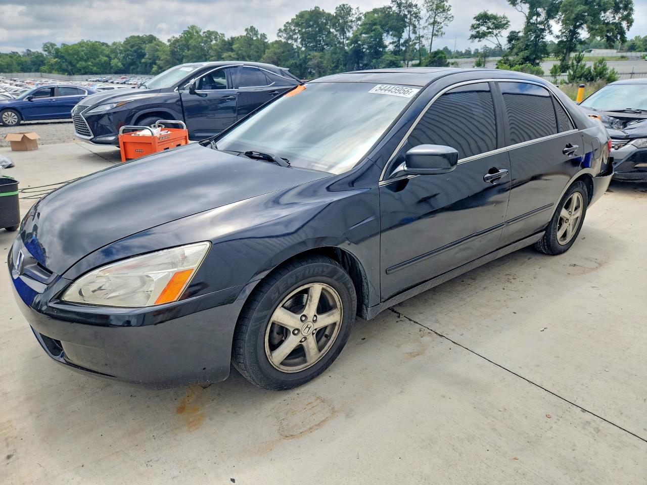 Salvage Honda Accord Image