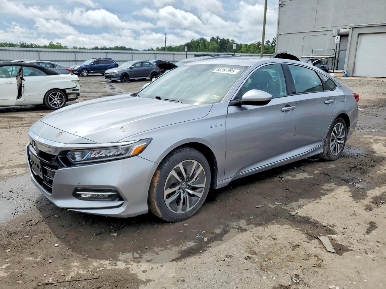 Salvage Honda Accord Image