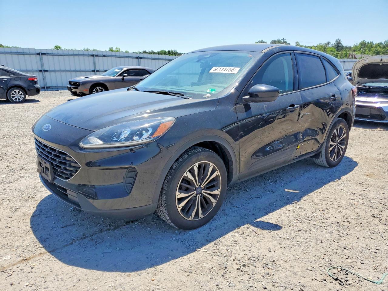 Salvage Ford Escape Image