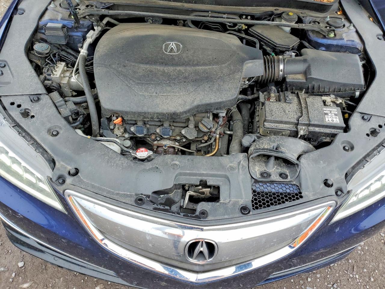 Acura TLX Tech