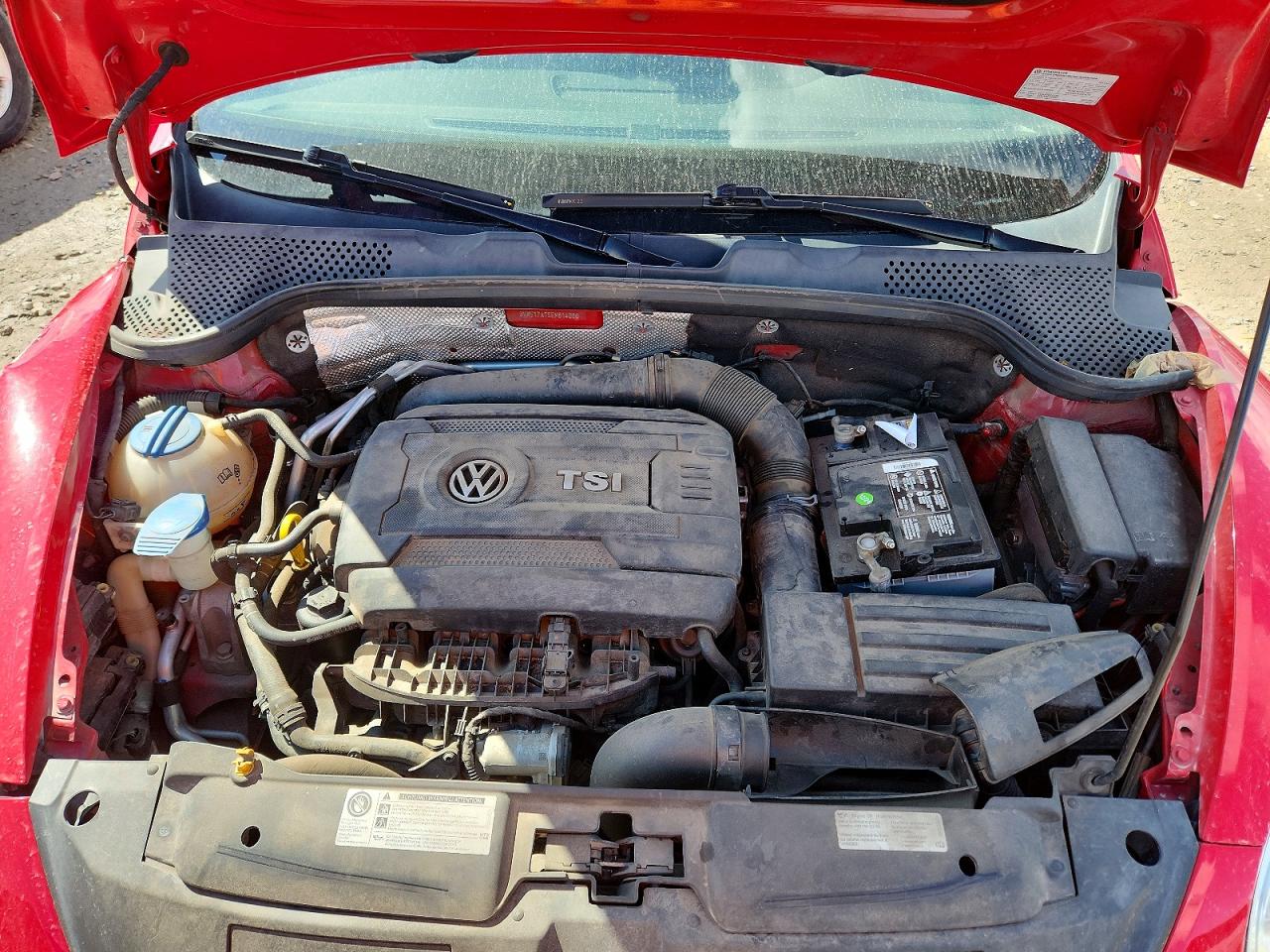 Volkswagen Beetle