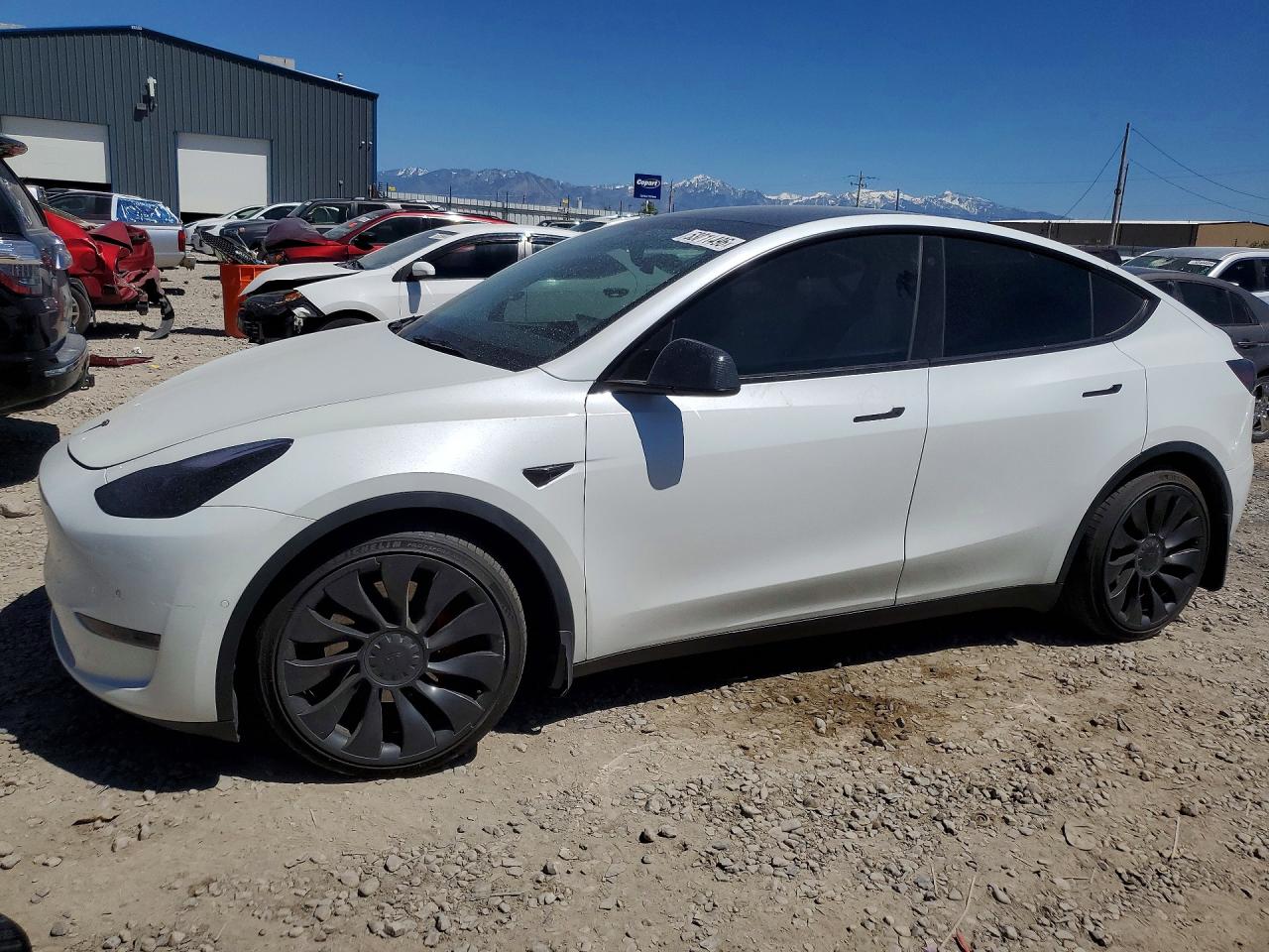 Salvage Tesla Model Y Image