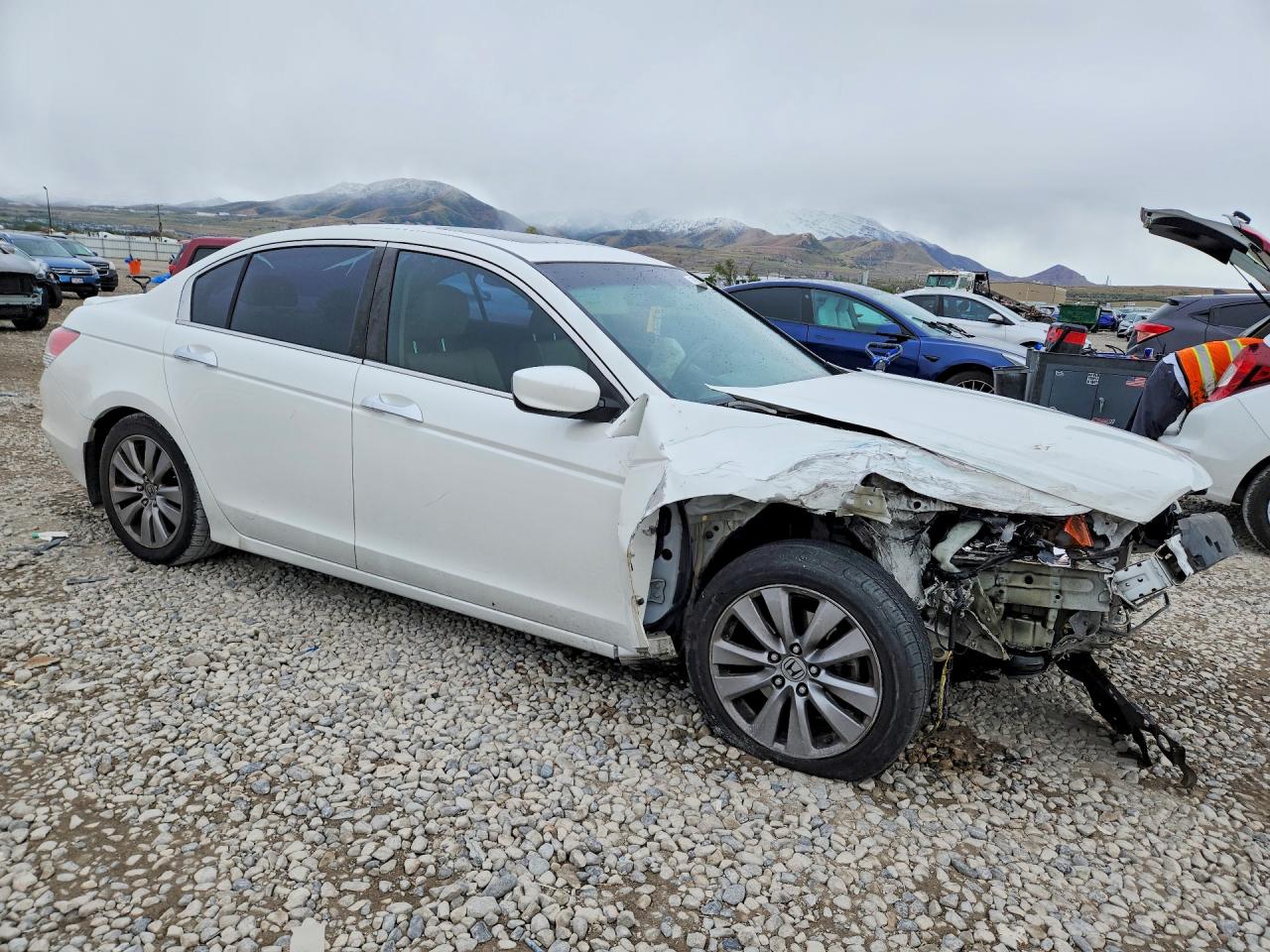 Honda Accord Exl
