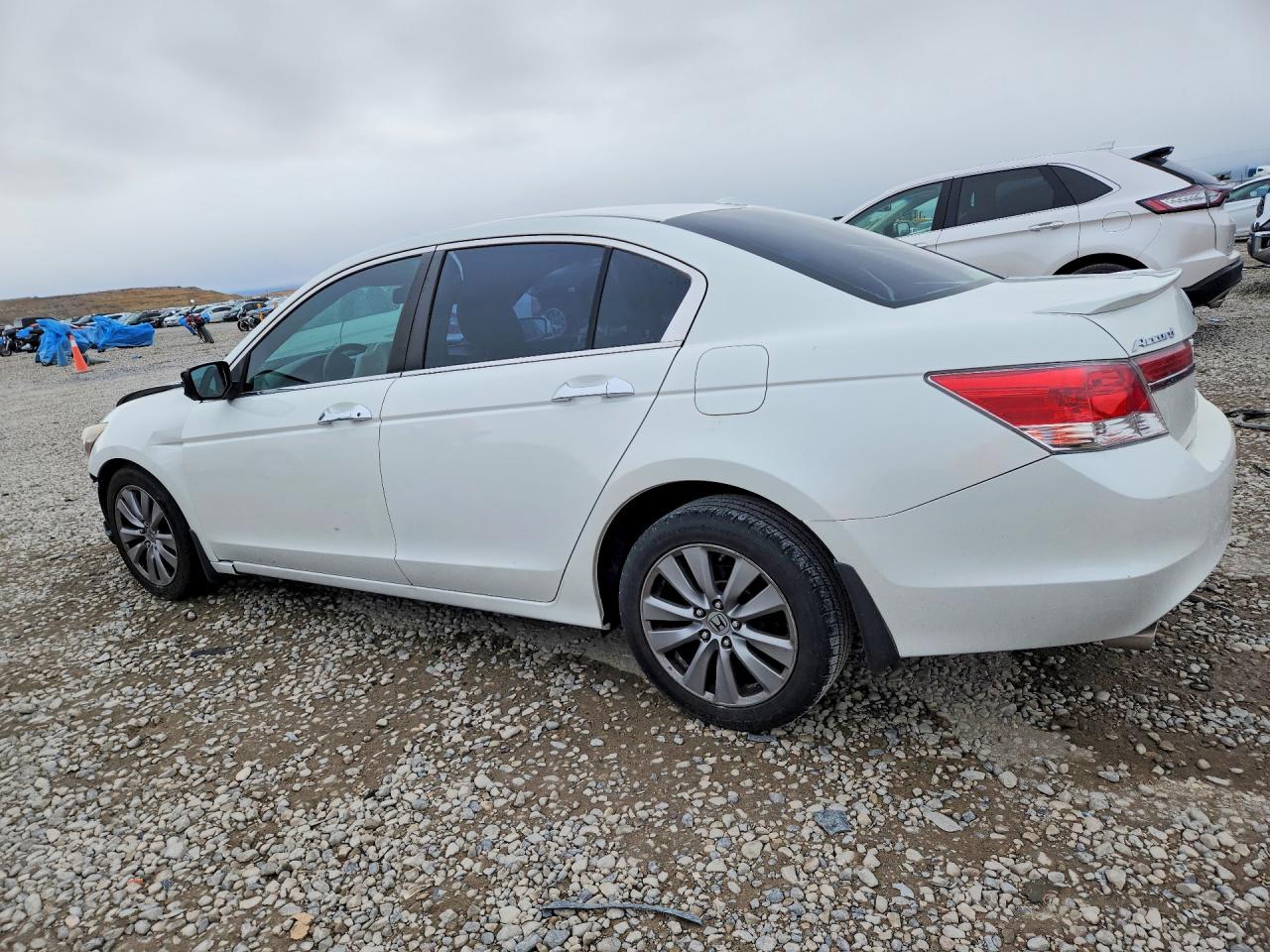 Honda Accord Exl