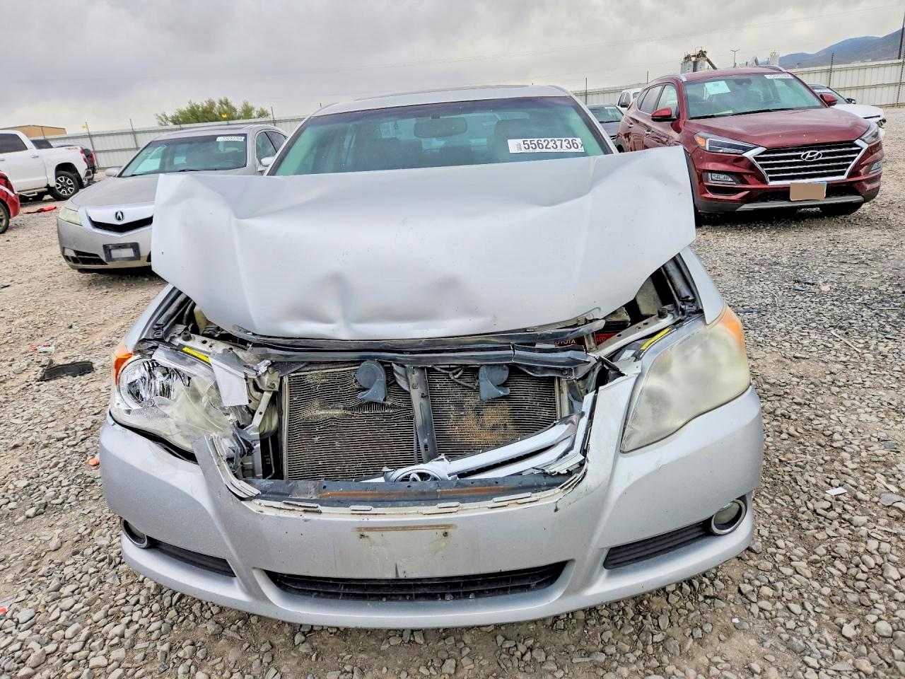 Toyota Avalon Limited