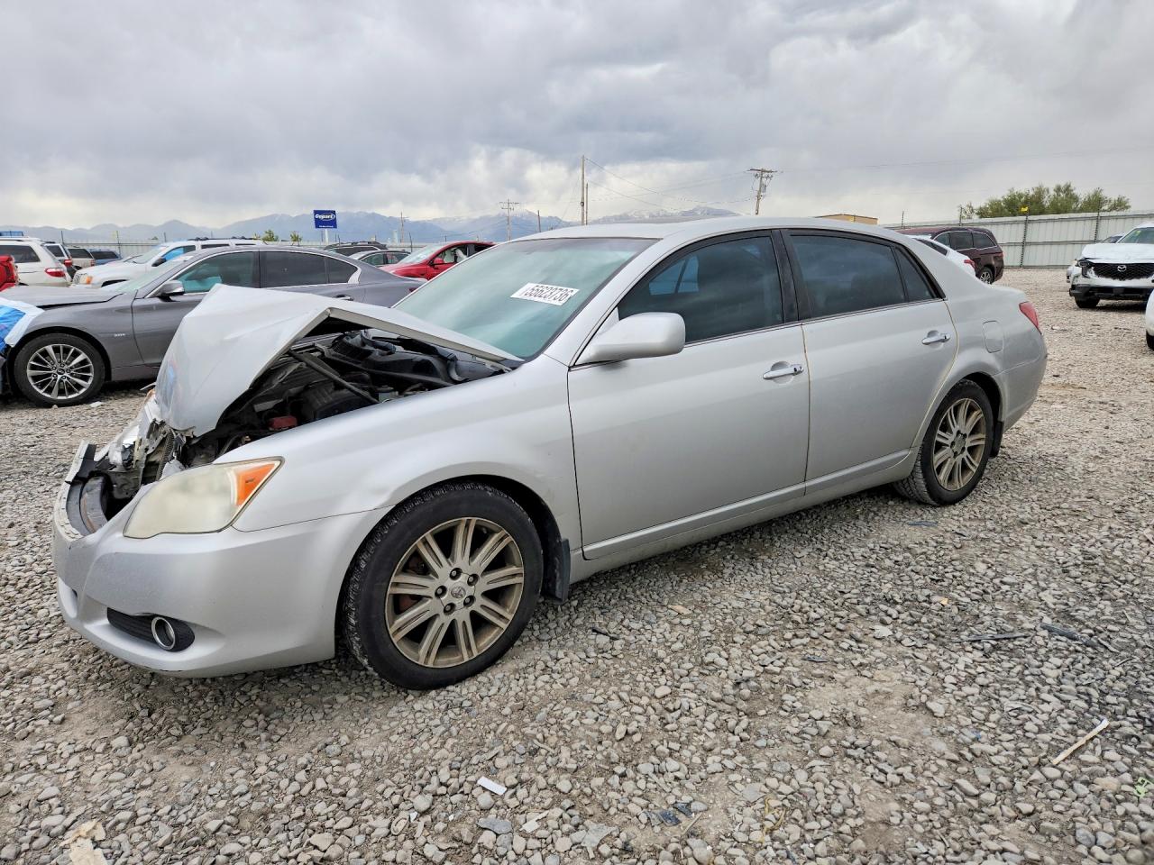 Salvage Toyota Avalon Image