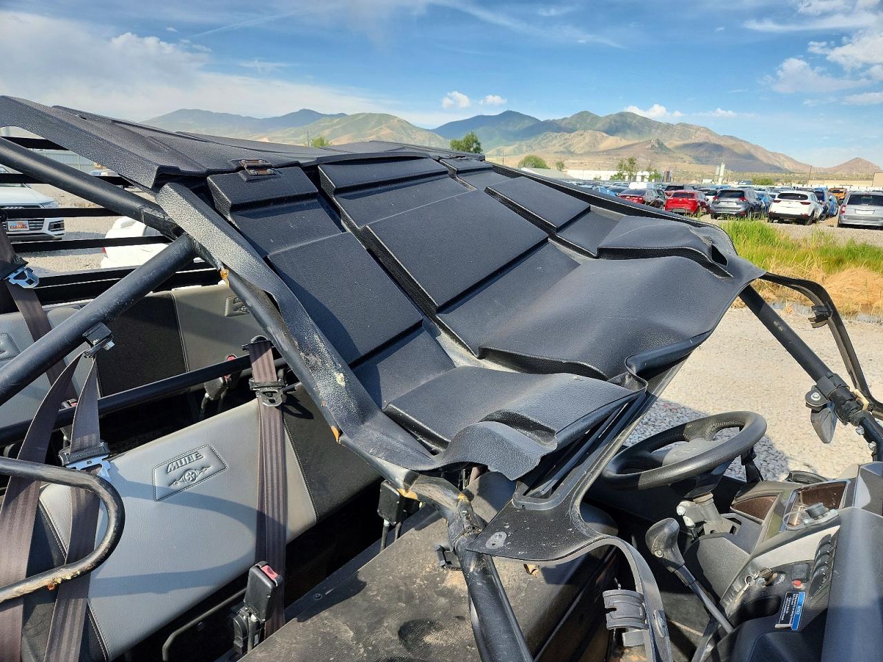 Kawasaki Mule P Fxt