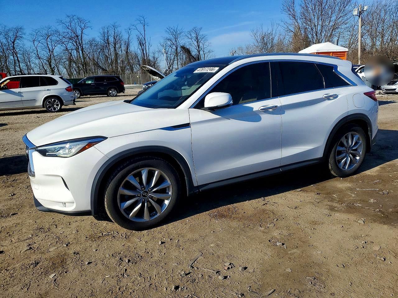Salvage INFINITI Qx Image
