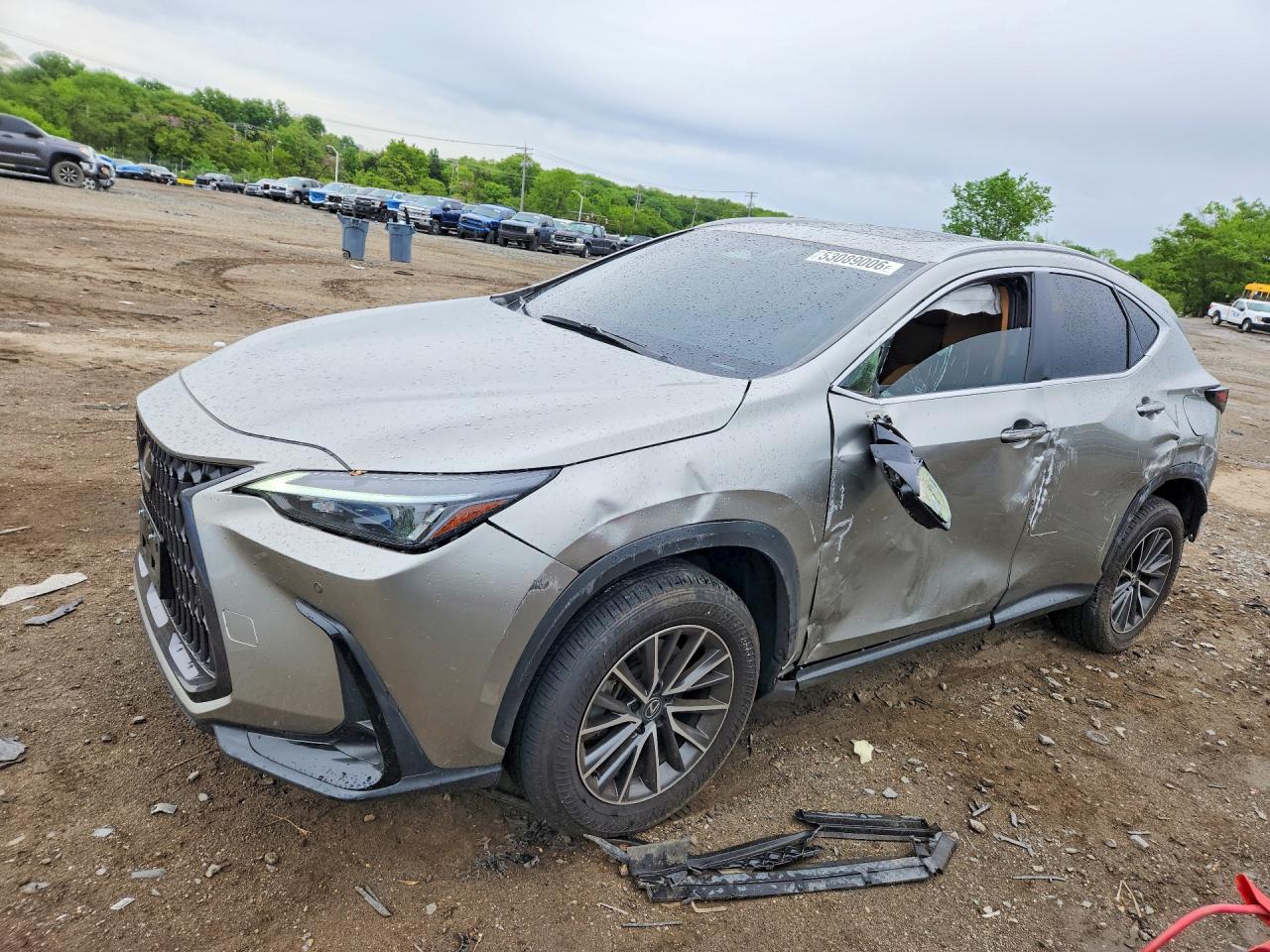 Salvage Lexus NX Image
