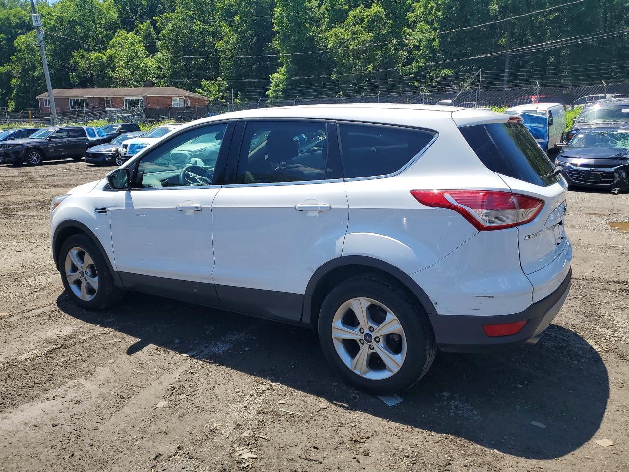 Ford Escape