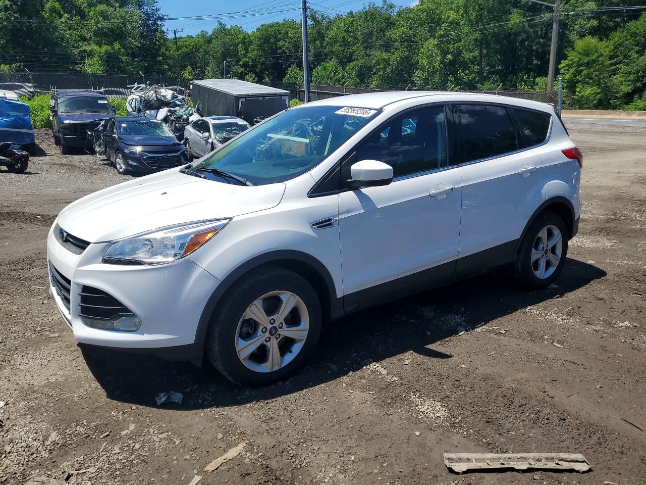 Salvage Ford Escape Image