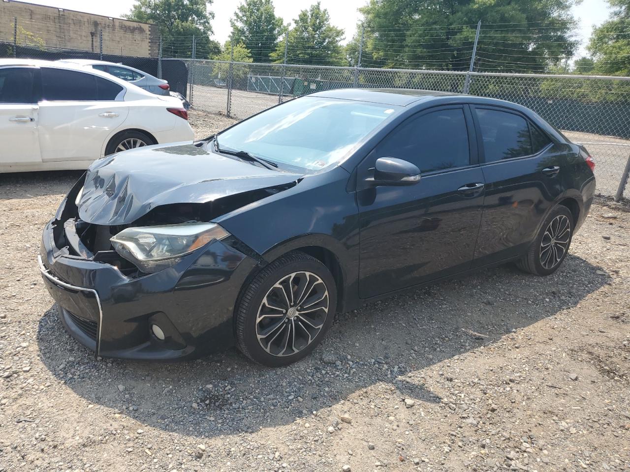 Salvage Toyota Corolla Image