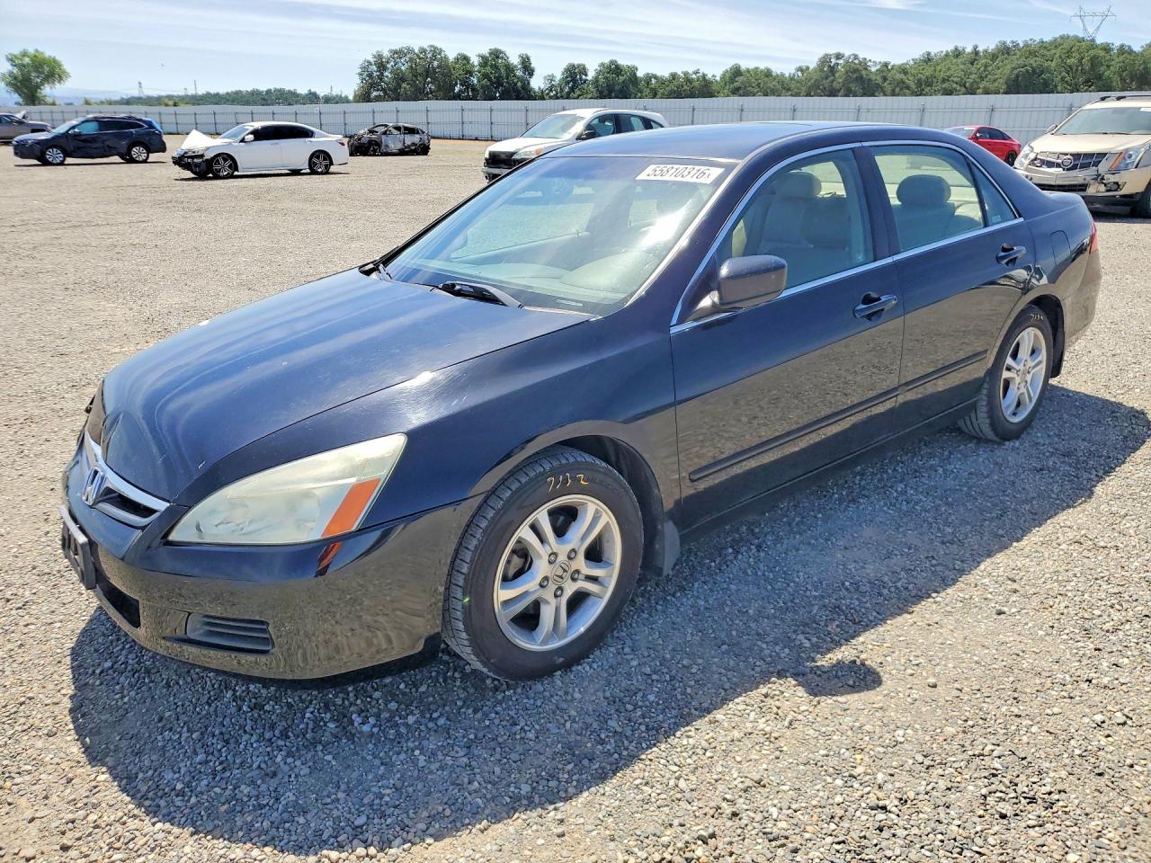 Salvage Honda Accord Image
