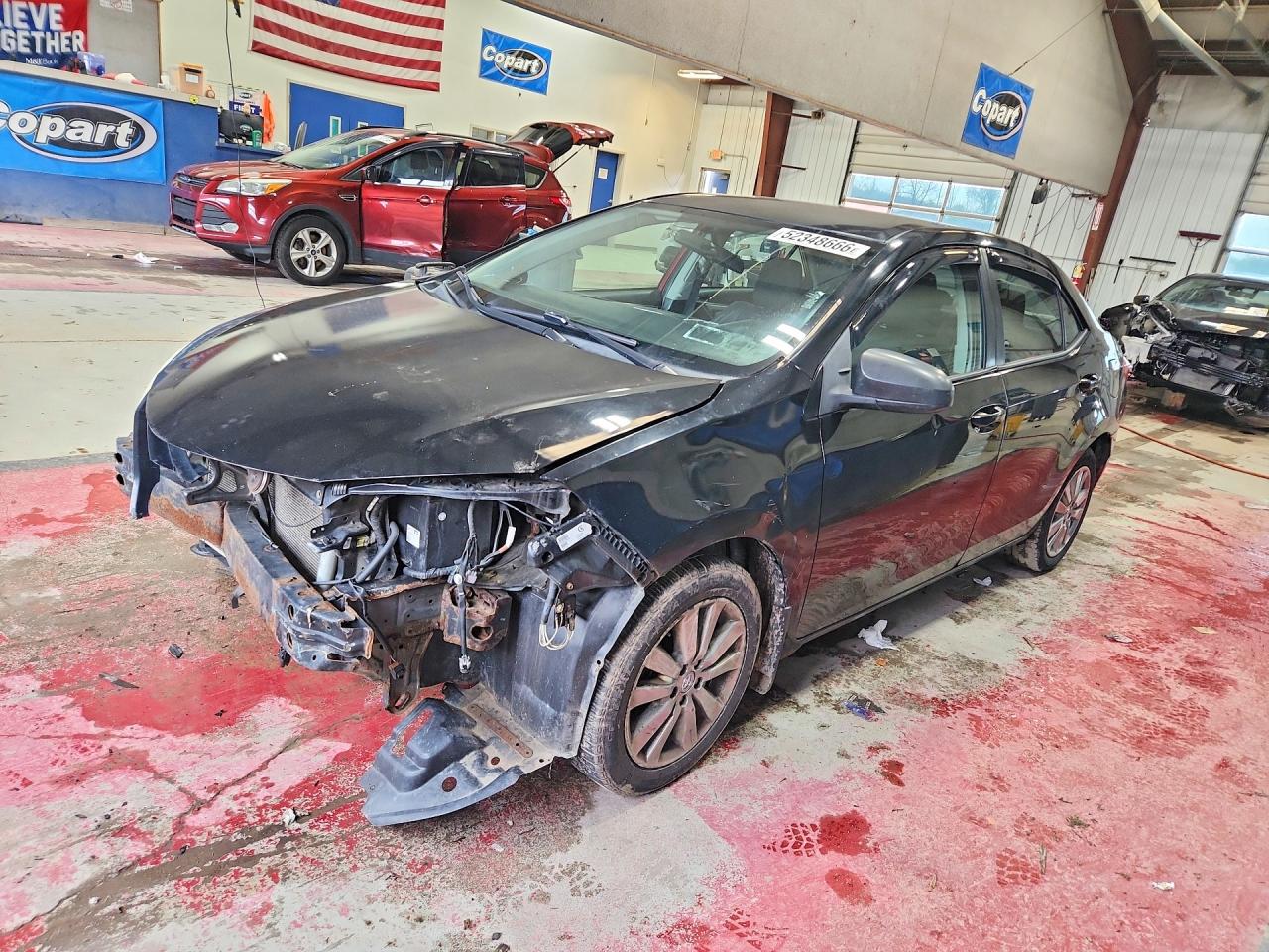Salvage Toyota Corolla Image