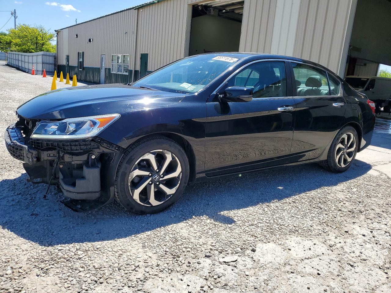 Salvage Honda Accord Image