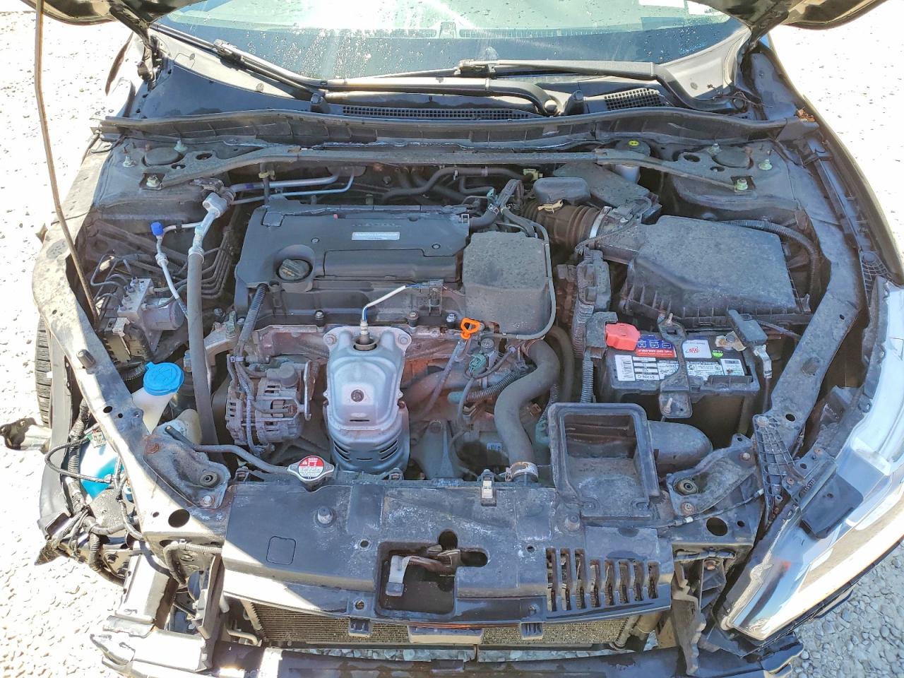 Honda Accord Exl