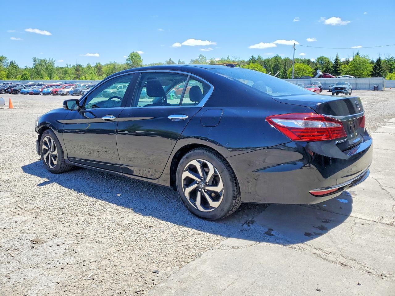Honda Accord Exl