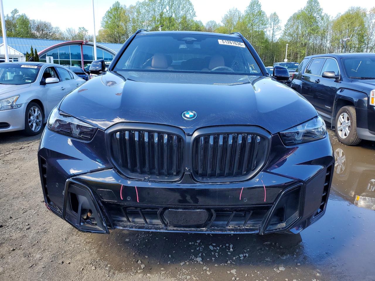 BMW X Series Xdrive50e