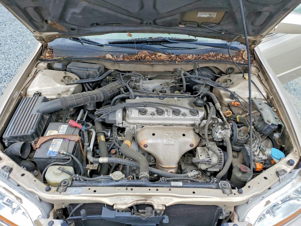 Honda Accord Se