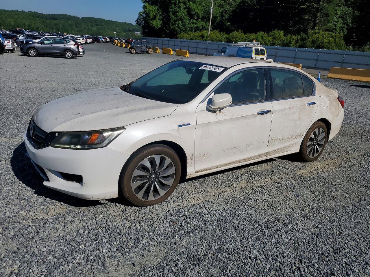 Salvage Honda Accord Image