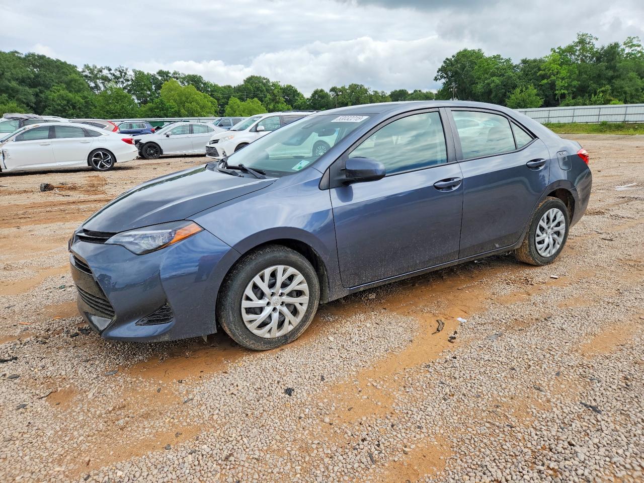 Salvage Toyota Corolla Image