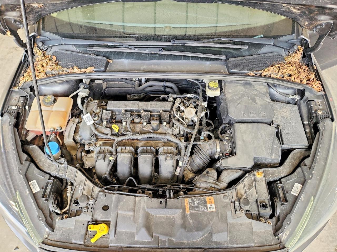 Ford Focus Sel