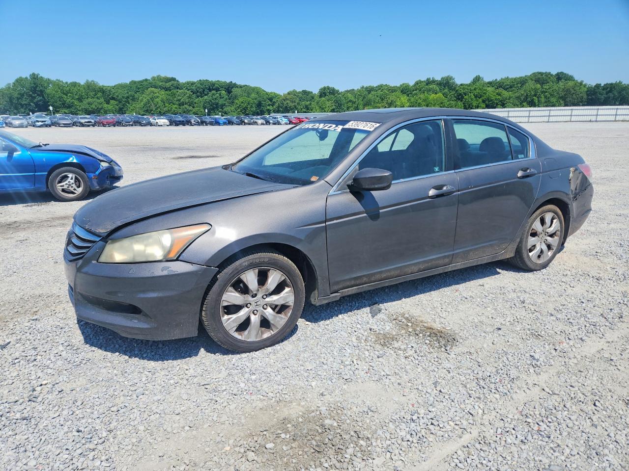 Salvage Honda Accord Image