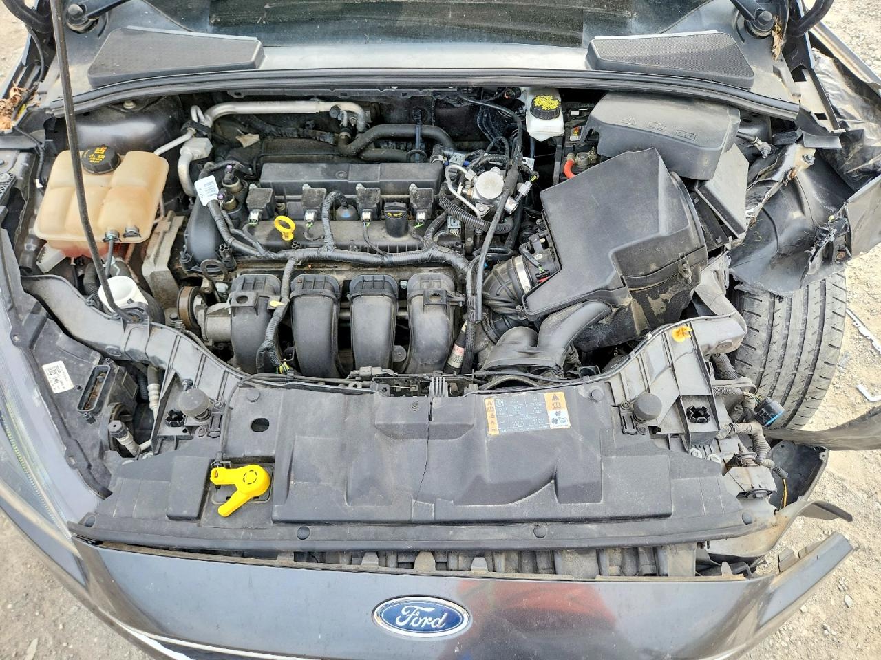 Ford Focus Sel