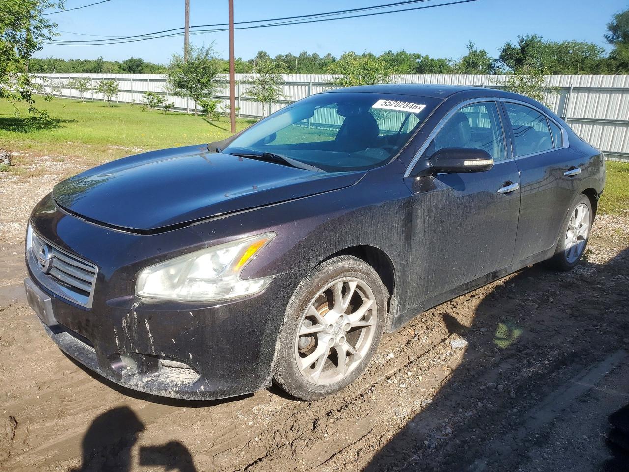 Salvage Nissan Maxima Image