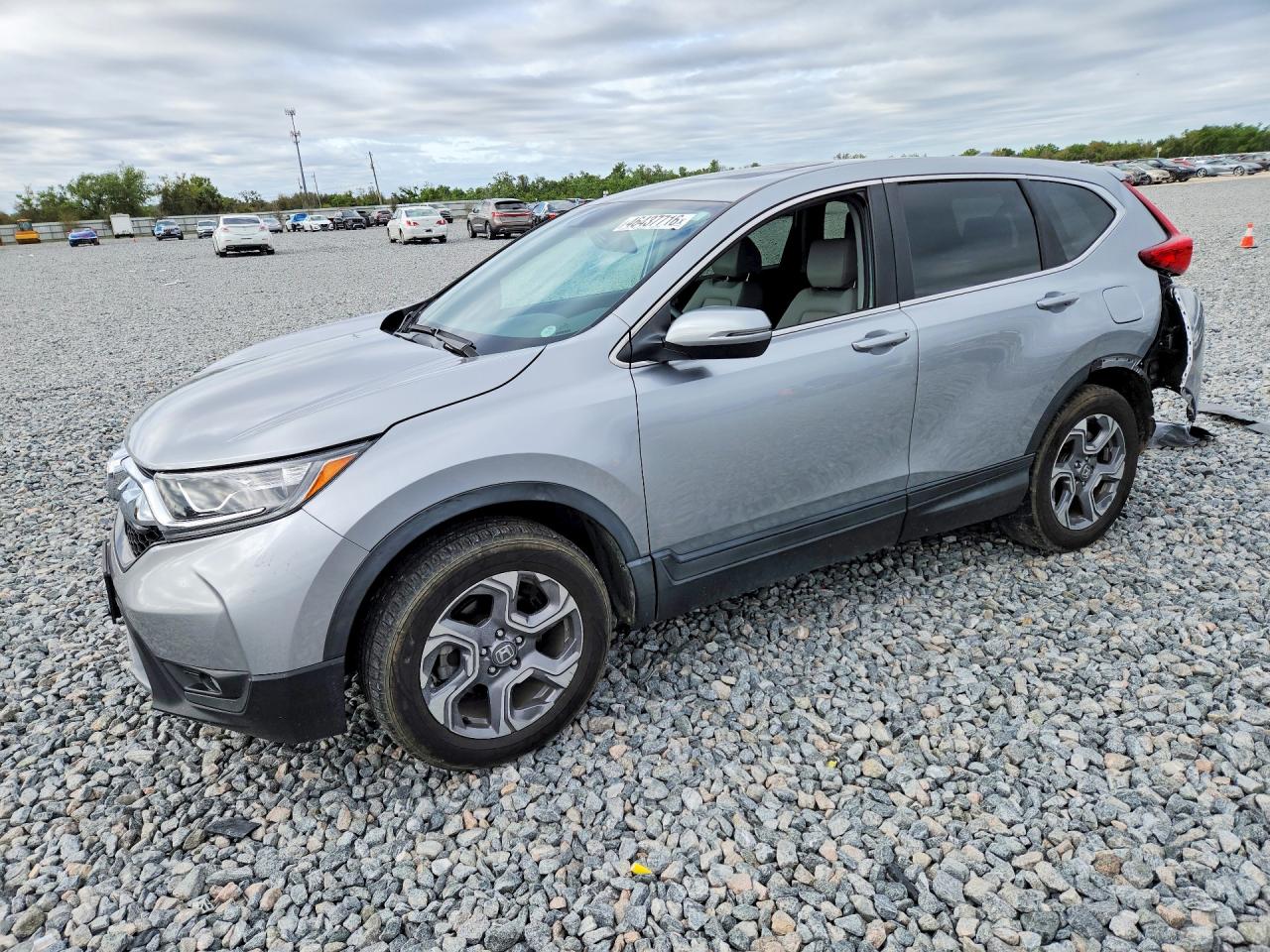 Salvage Honda Crv Image