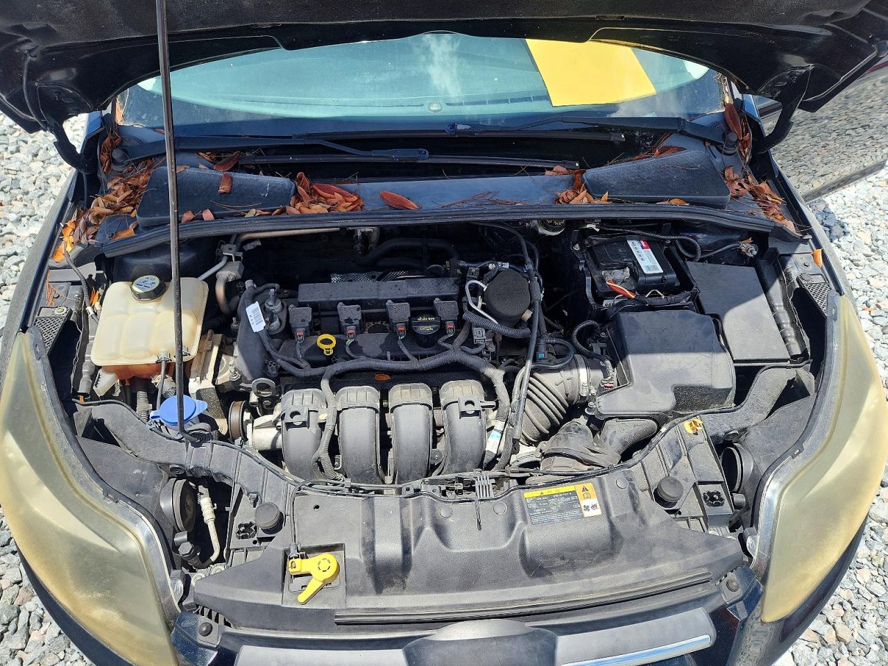 Ford Focus Se