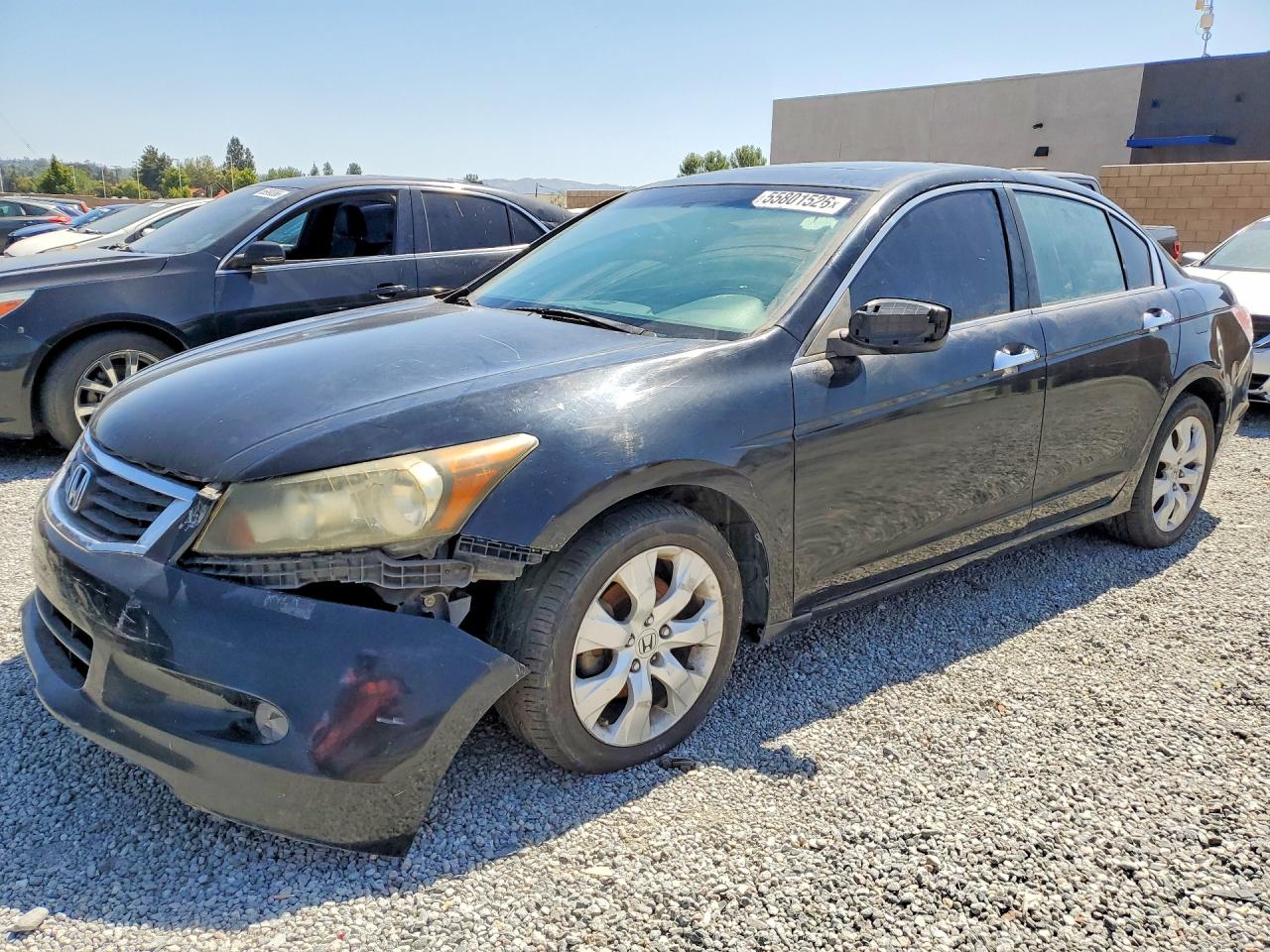 Salvage Honda Accord Image