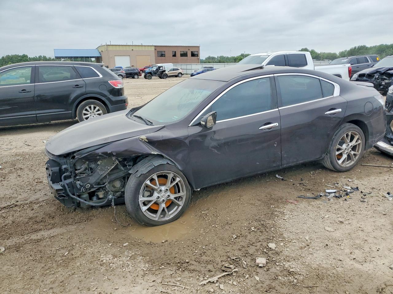 Salvage Nissan Maxima Image