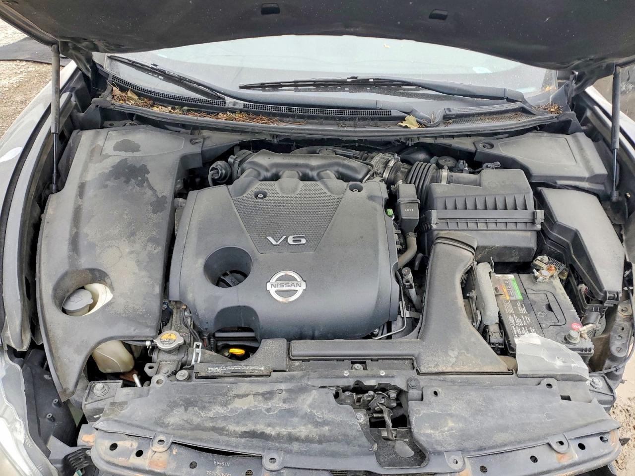 Nissan Maxima 3.5 S