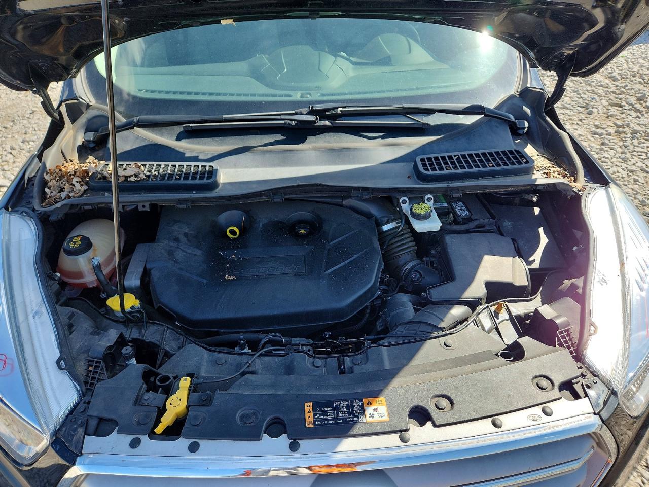 Ford Escape Se