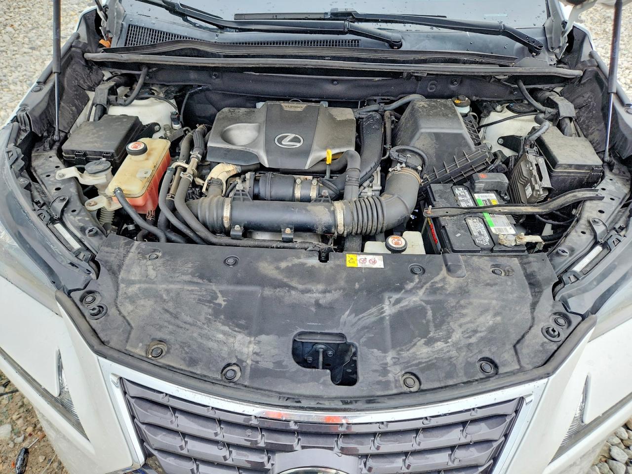 Lexus NX Base